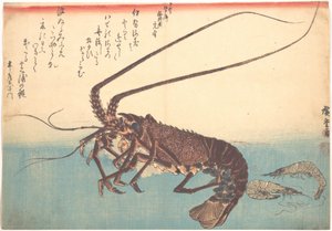 Ise-ebi och Shiba-ebi, ur serien Uozukushi (Alla sorters fisk) av Utagawa Hiroshige