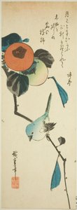 Japanska vita ögon och persimmons av Utagawa Hiroshige