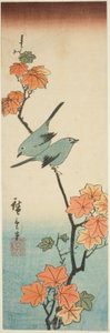 Japanska vita ögon på en lönngren av Utagawa Hiroshige
