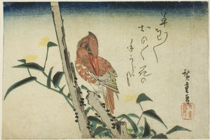 Kungsfiskare och dagblomma av Utagawa Hiroshige