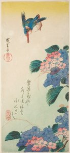 Kungsfiskare och hortensia av Utagawa Hiroshige