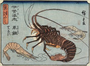 Hummer, räkor och räkor, 1830-1844