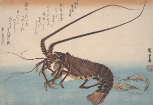 Hummer och räkor, c.1832