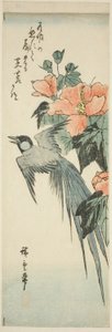 Långsvansfågel och hibiskus av Utagawa Hiroshige