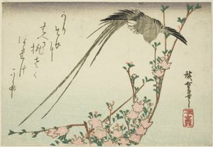 Långsvansad fågel och persikablommor av Utagawa Hiroshige