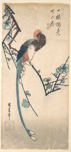 Långstjärtad fågel av Utagawa Hiroshige