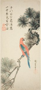 Ara på en tallgren av Utagawa Hiroshige