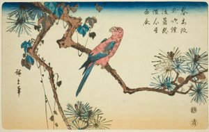 Ara på tallgren av Utagawa Hiroshige