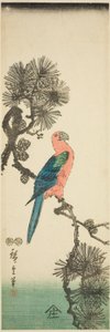 Ara på tallgren av Utagawa Hiroshige