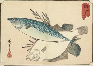 Makrill och hälleflundra, tidigt 1800-tal