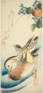 Mandarin ankor av Utagawa Hiroshige