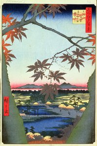 Maple Trees at Mam, Tekona Shrine and Linked Bridge, skylt 94 från serien One Hundred Views of Edo, Edo Period, Ansei Era, 1857 (träblockstryck) av Utagawa Hiroshige