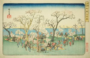 Merrymaking at Goten Hill (Gotenyama yukyo), från serien "Famous Places in Edo (Koto meisho)" av Utagawa Hiroshige