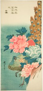 Påfågel och pioner av Utagawa Hiroshige