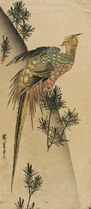 Fasan bland tallskott av Utagawa Hiroshige