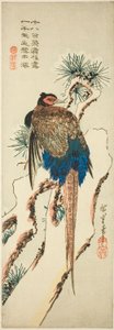 Fasan på en snötäckt tall av Utagawa Hiroshige