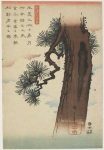 Pine Tree, 1837-1844 (färgtryck)