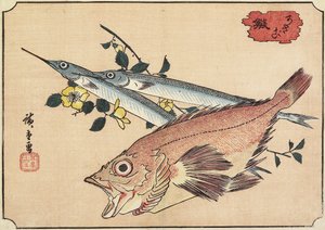 Rockfish and Halfbeak, tidigt 1800-tal