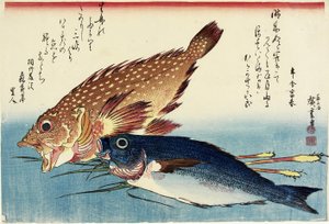 Skorpionfisk, kycklinggrunt och ingefäraskott, ca. 1832
