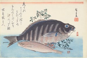 Shimadai och Ainame, från serien "Den stora fisken", Utagawa-skolan, ca 1840-42 (träsnitt, handkolorerat tryck på papper)