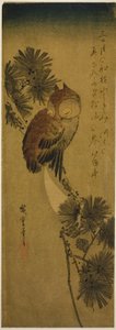Småhornsuggla, tall och halvmåne av Utagawa Hiroshige