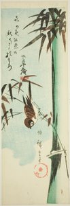 Sparv och bambu av Utagawa Hiroshige