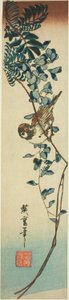 Sparv och blåregn av Utagawa Hiroshige