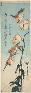 Sparvar och vallmo av Utagawa Hiroshige