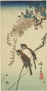 Sparvar och blåregn av Utagawa Hiroshige