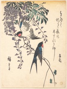 Svala och blåregn av Utagawa Hiroshige