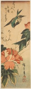 Svälja och hibiskus av Utagawa Hiroshige