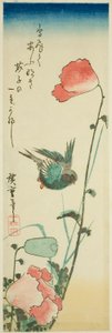 Svala och vallmo av Utagawa Hiroshige