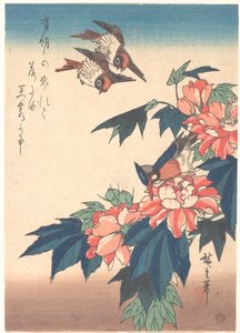 Svalor och kungsfiskare med rosenhibiskus av Utagawa Hiroshige