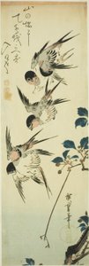 Svalor och blommande gren av Utagawa Hiroshige