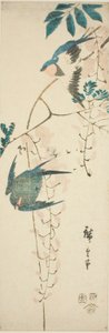 Svalor och blåregn av Utagawa Hiroshige
