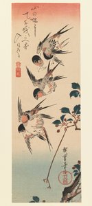 Tanzaku, fyra svalor, 1832 (träblock i färg) av Utagawa Hiroshige