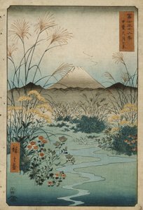 Ōtsuki-slätten i provinsen Kai av Utagawa Hiroshige