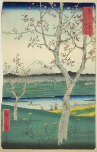 The Outskirts of Koshigaya in Musashi Province (Musashi Koshigaya zai), från serien "Thirty-six Views of Mount Fuji (Fuji sanjurokkei)" av Utagawa Hiroshige