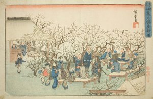Plommonträdgården på Komeido (Kameido ume yashiki no zu), från serien "Famous Places in the Eastern Capital (Toto meisho)" av Utagawa Hiroshige