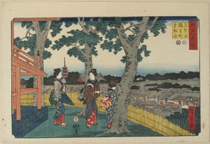 Utsikten över Matuschiyama Hill, Saruwaka-distriktet och Kinryu_zan-templet, november 1853