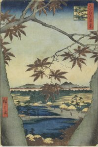 Lönnlöven från Mama, Tekona-helgedomen och Tsugi-bron av Utagawa Hiroshige