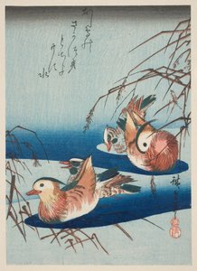 Two Pairs of Mandarin Ducks (colour woodblock print)