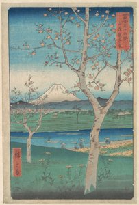 Vy över berget Fuji från Koshigaya i Musashiprovinsen (Musashi, Koshigaya Zai), ur serien Trettiosex vyer över berget Fuji (Fugaku sanjūrokkei) av Utagawa Hiroshige