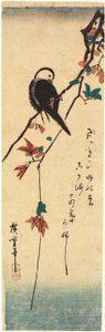 Vithövdad fågel på en lönngren av Utagawa Hiroshige