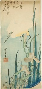 Vit häger och iris av Utagawa Hiroshige