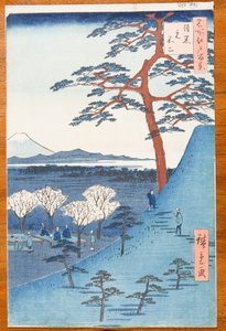Utsikt från Meguro mot det verkliga Fuji-berget - Meguro Moto-Fuji, plansch 25 ur serien: Hundra berömda vyer över Edo / Meisho Edo hyakkei av Utagawa Hiroshige