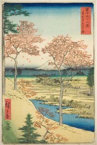 Yuhi Hill vid Meguro i den östra huvudstaden (Toto Meguro Yuhigaoka), från serien "Thirty-six Views of Mount Fuji (Fuji sanjurokkei)" av Utagawa Hiroshige