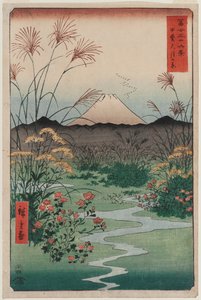 ōtsuki Plain i Kai-provinsen (Kai ōtsuki no hara), från serien Thirty-six Views of Mount Fuji av Utagawa Hiroshige