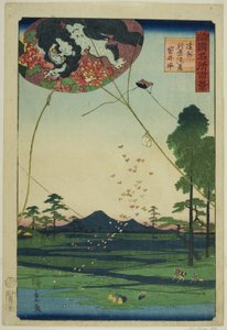 Drakar från Fukuroi och avlägsen utsikt över Akiba i Totomiprovinsen (Enshu Akiba enkei Fukuroi tako), från serien "Hundra berömda vyer i de olika provinserna (Shokoku meisho hyakkei)" av Utagawa Hiroshige II