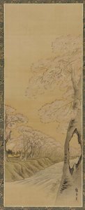 Landskap: blommande körsbärsträd längs stranden av en bäck, Edo-perioden, 1615-1868.